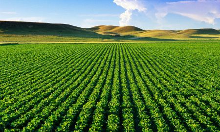 Đất nông nghiệp là gì?