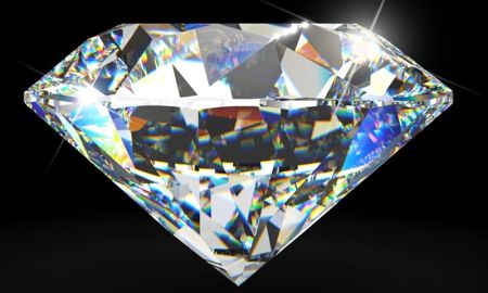 Sò kim cương – Những viên ngọc quý của lòng biển