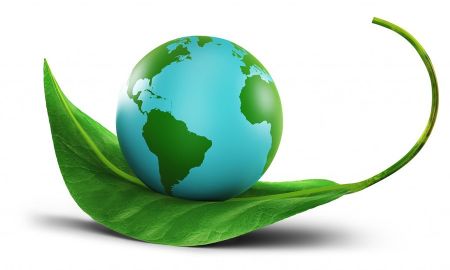 Thuế bảo vệ môi trường 