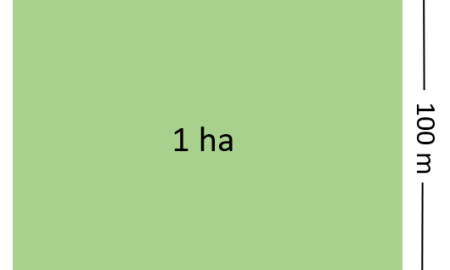 Một hecta (ha) bằng bao nhiêu mét vuông(m2)
